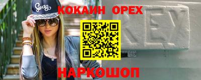 прущие грибы Будённовск
