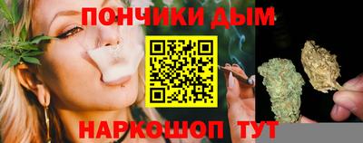 прущие грибы Будённовск