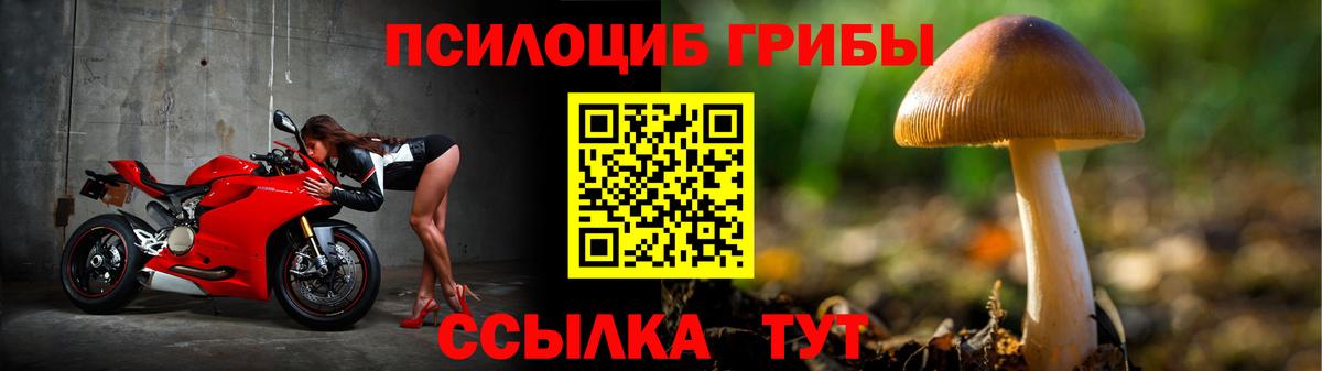 Можайск  наркошоп  Вход с VPN  Галлюциногенные грибы Magic Shrooms  Галлюциногенные грибы мицелий 